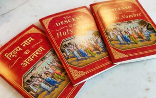 The Descent of the Holy Name Book