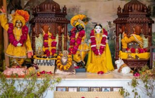 Vasanta Pancami - Spring Season - Deity Darshan - Rupanuga Bhajan Ashram
