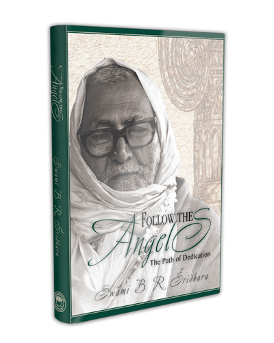 Follow the Angels Book