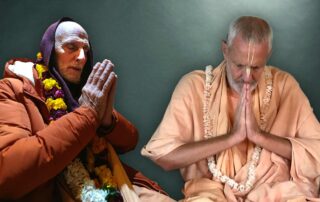 A Nourishing and Compassionate Nature