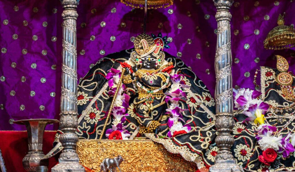 Pilgrimage With Swami Narasiṅgha – Part 5: Śrī Śrī Rādhā-Ramaṇa Temple