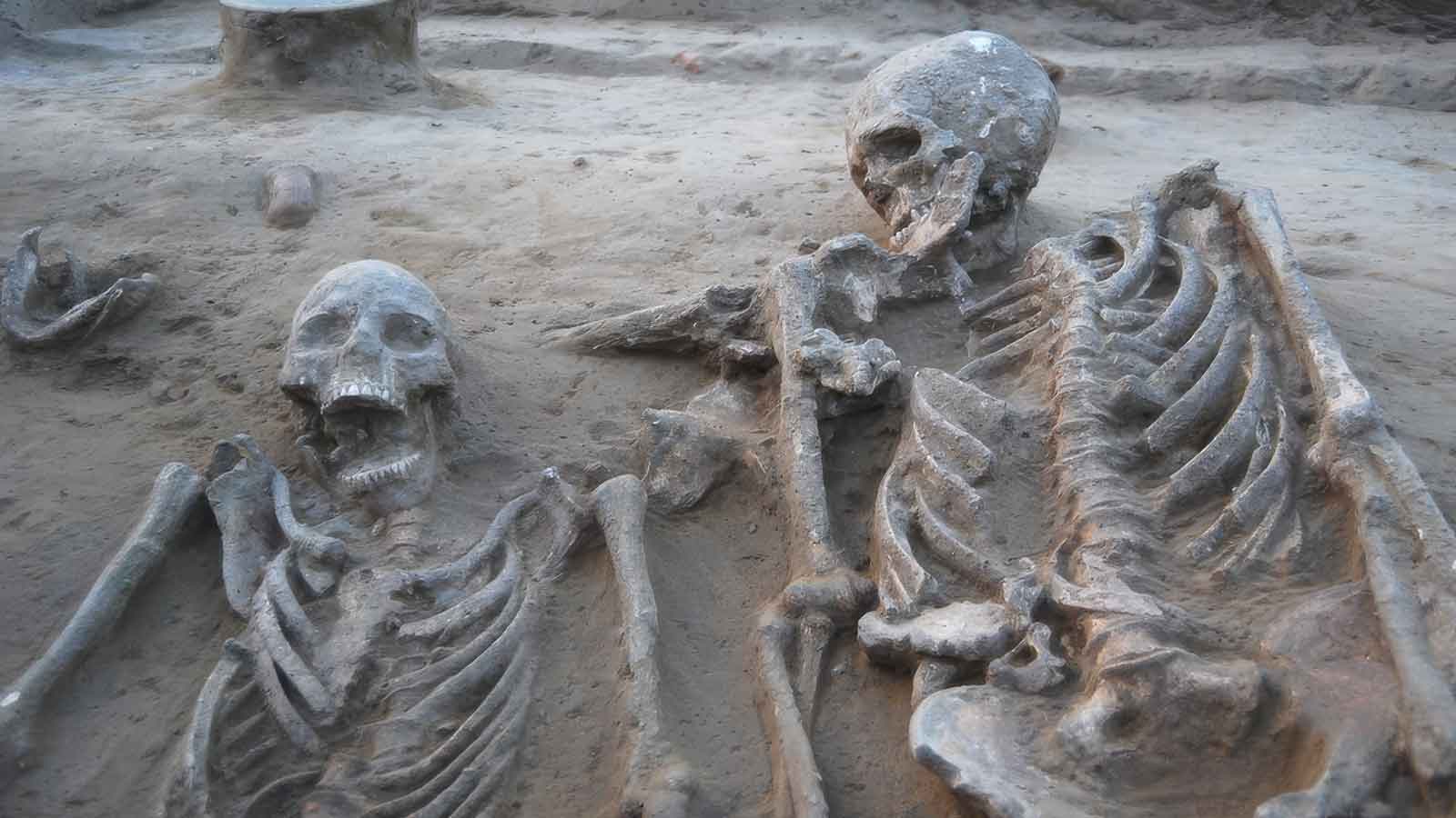 skeletons-indus-valley skeletons indus valley