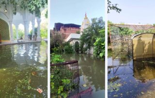 Flood Recovery and Plans for the Future