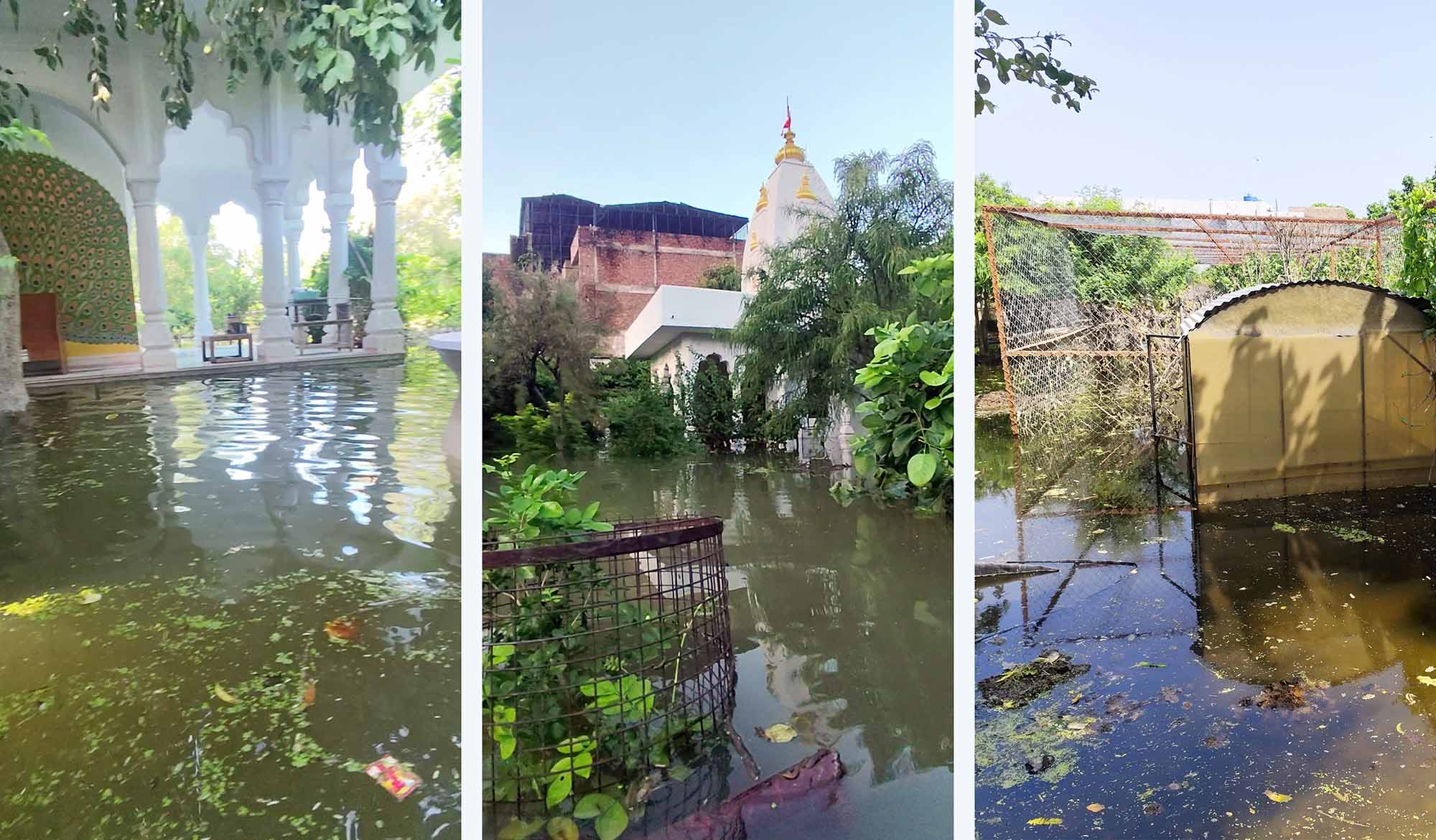 Flood Recovery and Plans for the Future