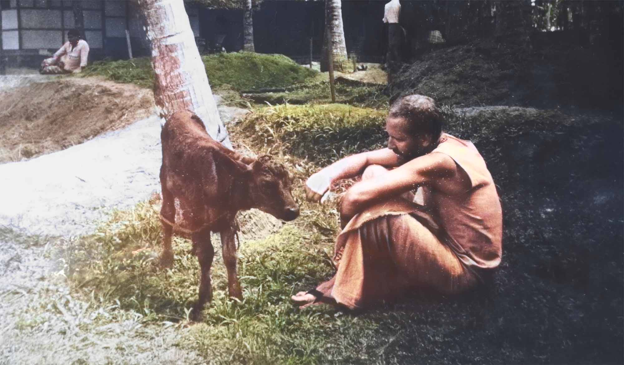The Hungry Calf - Swami B.G. Narasingha